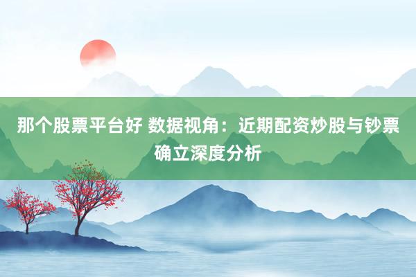 那个股票平台好 数据视角：近期配资炒股与钞票确立深度分析